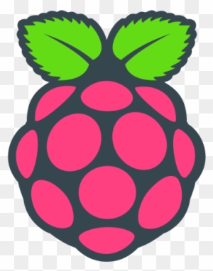 raspberry-pi-icon.jpg