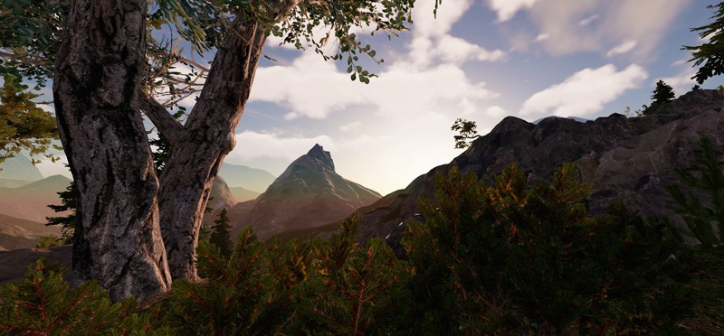 oota-tree-800px.jpg