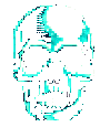 nowebgl.png