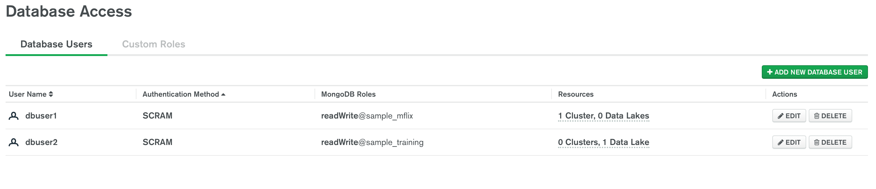 MongoDB Atlas DB User