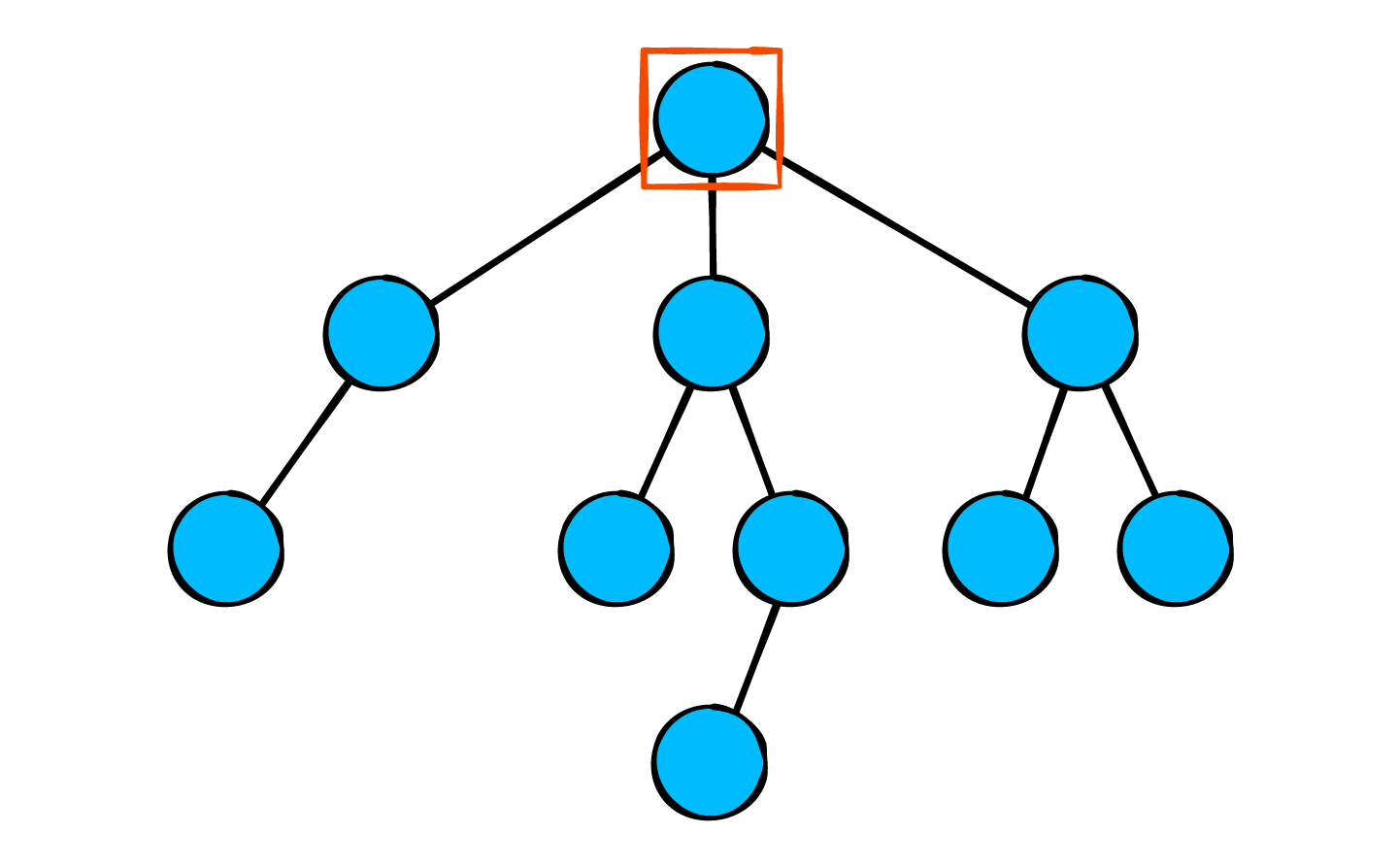 Root
