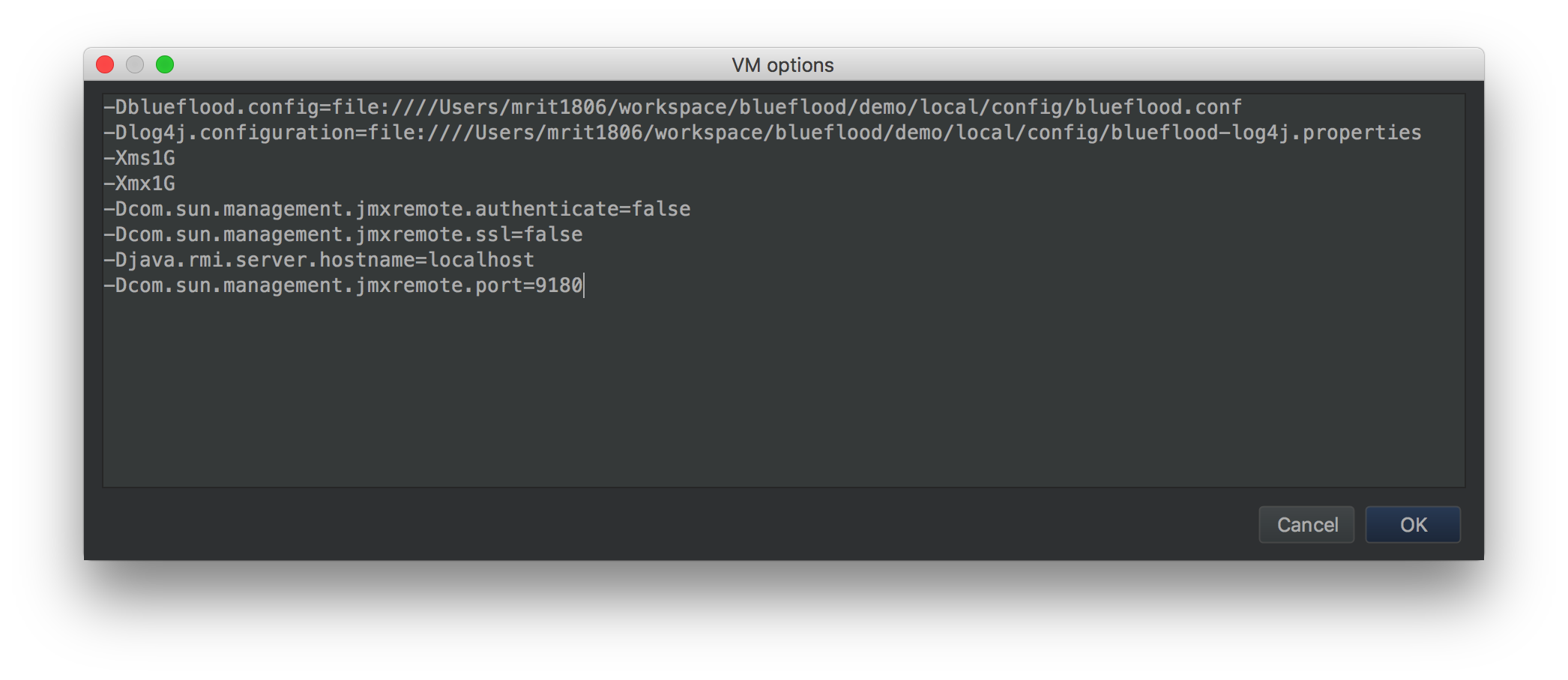 VM Options