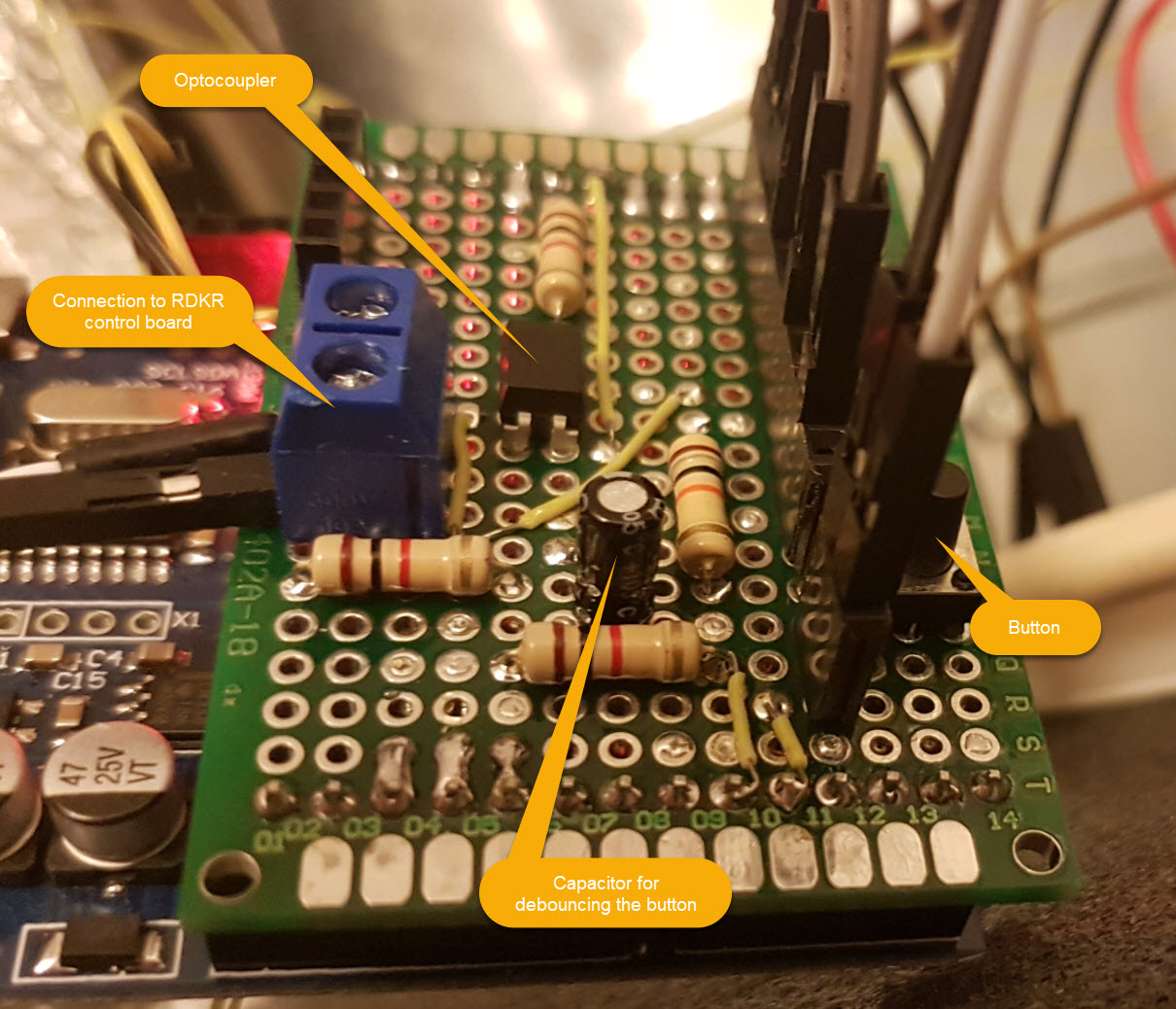 board_photo2.jpg